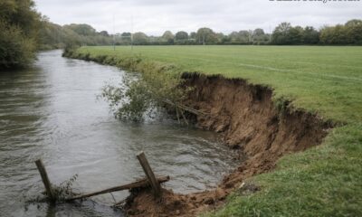 Riverbank collapse at Iford Playing Fields: causes, risks, and fixes
