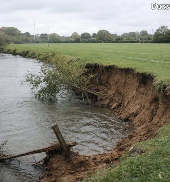 Riverbank collapse at Iford Playing Fields: causes, risks, and fixes