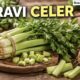 Pravi Celer Explained: Origins, Benefits, and Real Uses