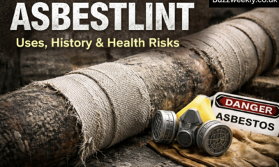 Asbestlint Explained: History, Uses, Risks, and Safety