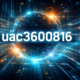 uac3600816: Meaning, Structure, and Digital Significance