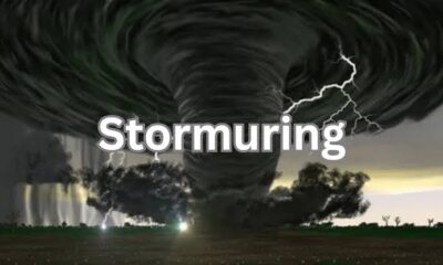 stormuring: Redefining Resilience in a Violent Climate