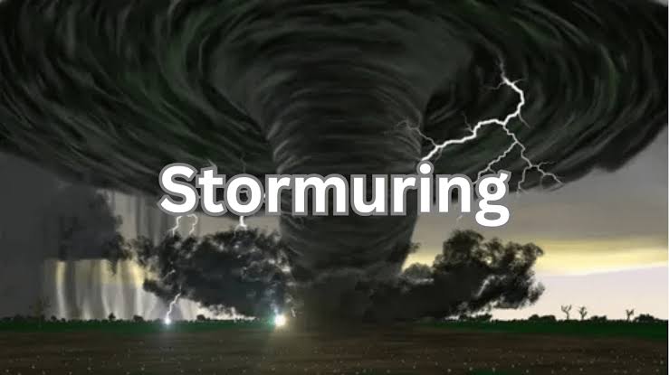 stormuring: Redefining Resilience in a Violent Climate