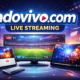 adovivo com: Rise of Real-Time Online Viewing Hub Platform