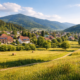 wollmatten: Freiburg’s Quiet Green Enclave Southern Germany