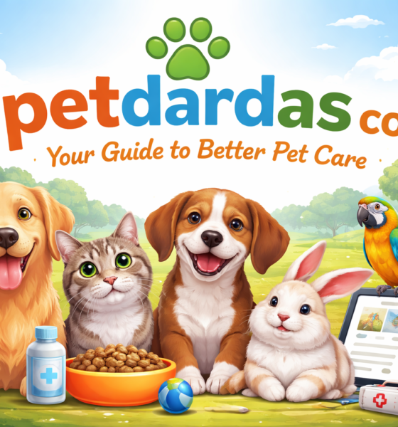 petdardas com: The Trusted Home for Smarter Pet Care