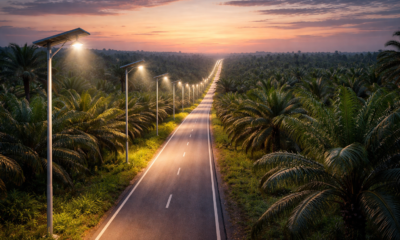 Oil Palm Project Involving Streetlights: A Smart Growth Plan
