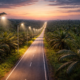 Oil Palm Project Involving Streetlights: A Smart Growth Plan