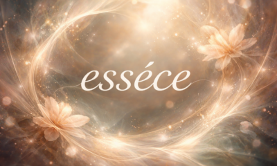 esséce: Meaning, Depth, and Hidden Essence Explained