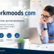 https://usmagazine.co.uk/onlyworkmoods-com/